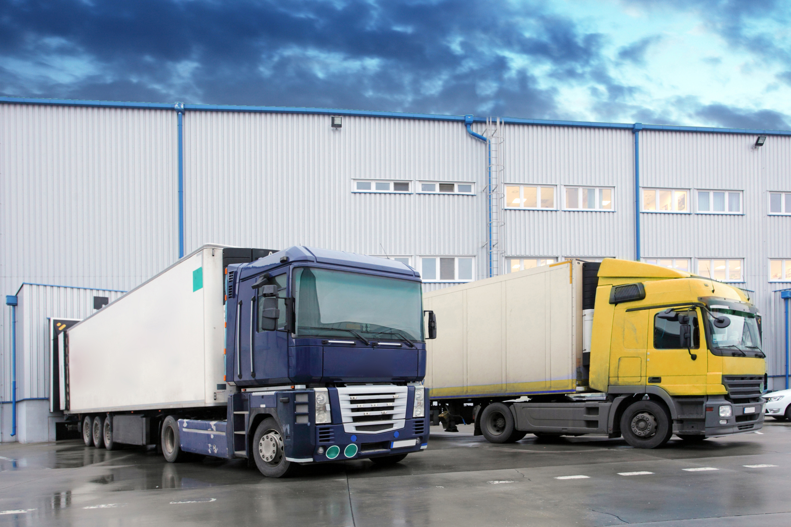 cargo trucking company