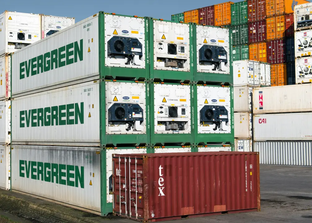 Reefer Containers for Cold Chain and Refrigerated Shipping in the U.S. - Four Sons Logistics